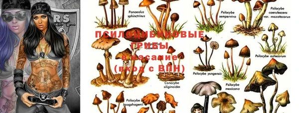 хмурый Балахна