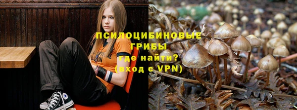 ГАЛЛЮЦИНОГЕННЫЕ ГРИБЫ Белоозёрский