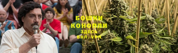 ГАЛЛЮЦИНОГЕННЫЕ ГРИБЫ Белоозёрский