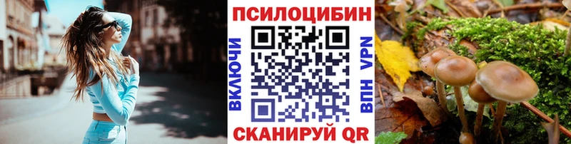 Псилоцибиновые грибы GOLDEN TEACHER  гидра   Ессентуки  что такое наркотик 