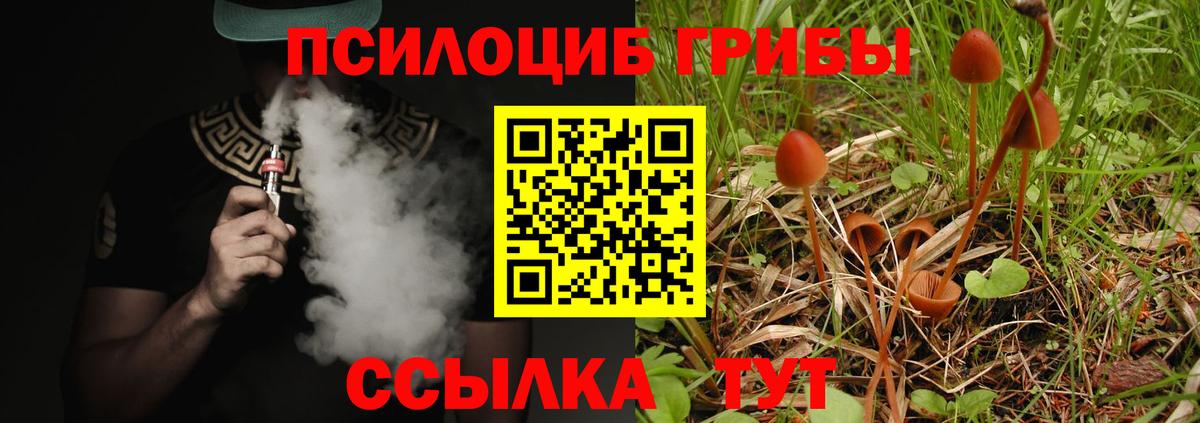 Ессентуки  Галлюциногенные грибы Psilocybe  наркошоп  Вход с VPN 