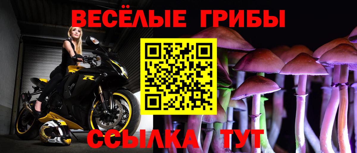 Галлюциногенные грибы ЛСД Ессентуки