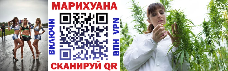 omg   Ессентуки  Бошки марихуана White Widow 